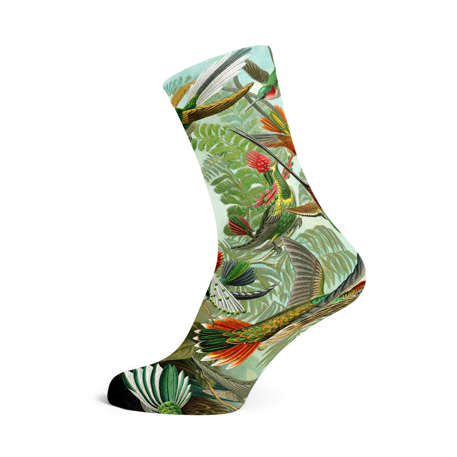 Socks by Haeckel (Trochilidae)