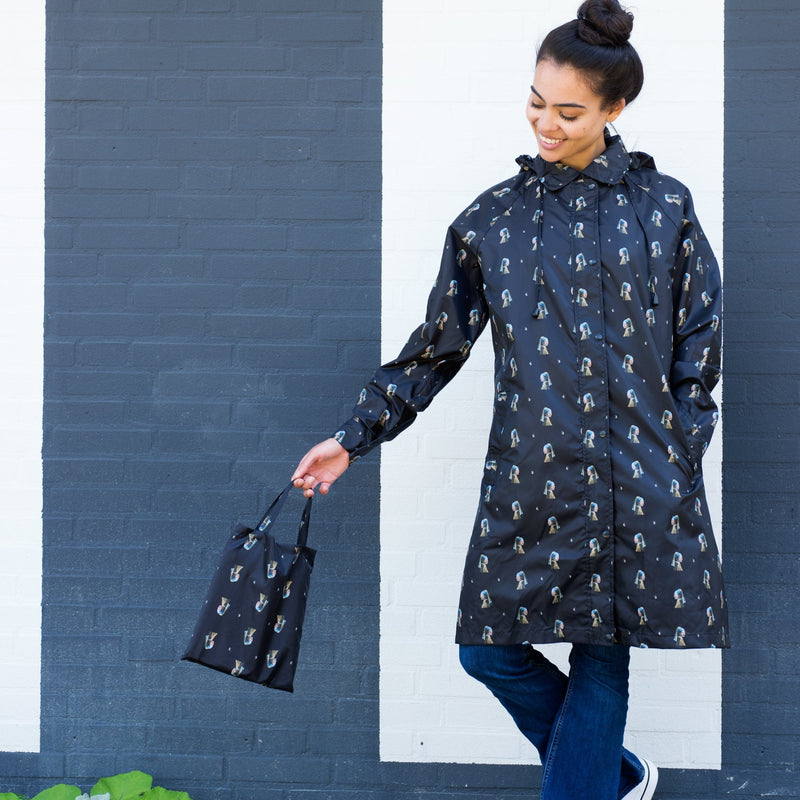 Mauritshuis: Vermeer