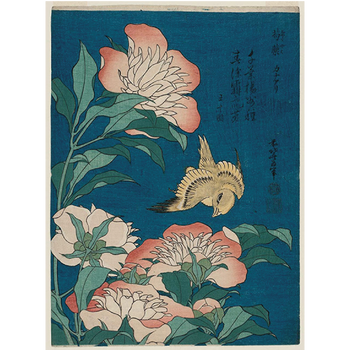 Socks by Hokusai (5 pairs)