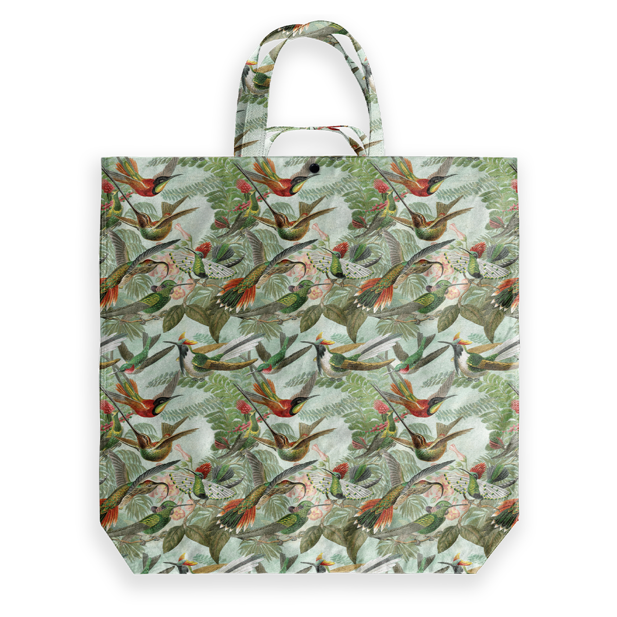 Big Shopper by Haeckel (5 pcs)