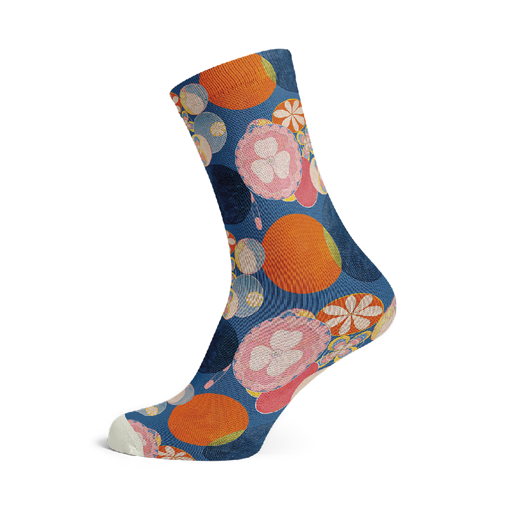 Socks Af Klint No. 2 (5 pairs)