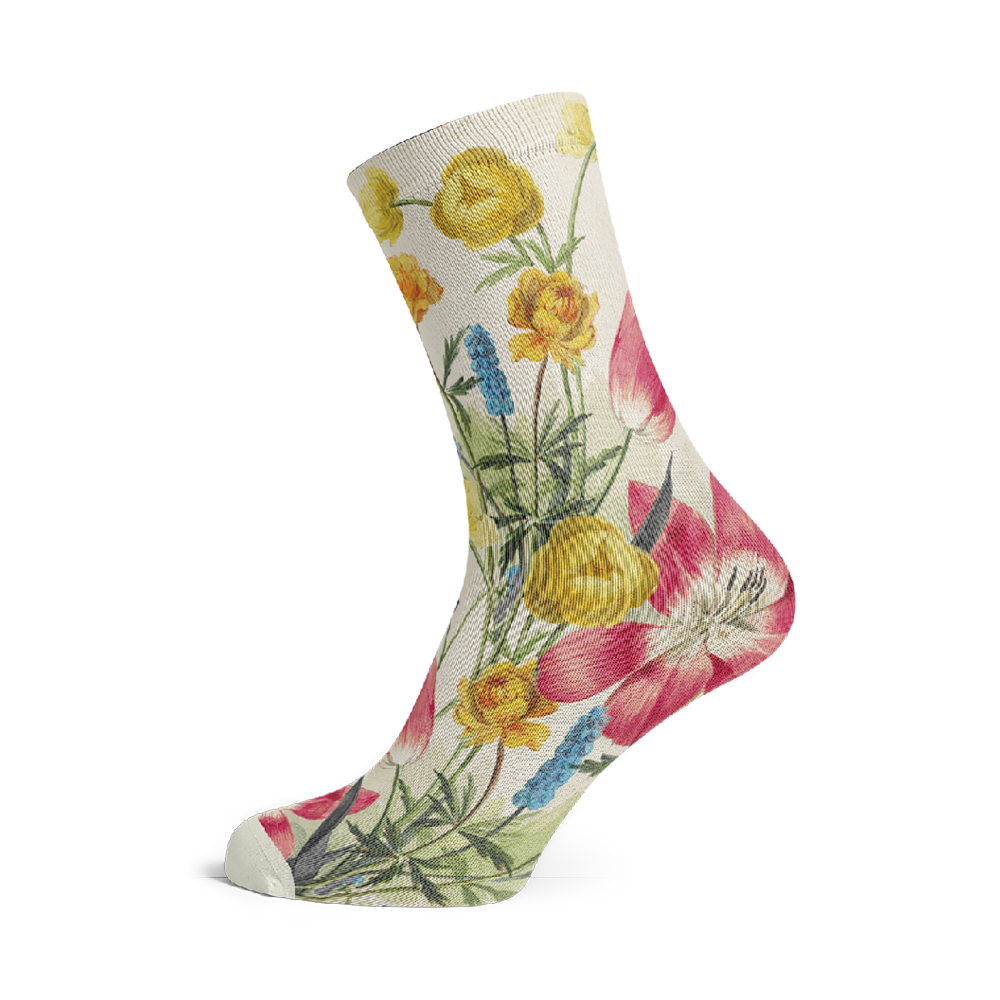 Socks by Van Leen (5 pairs)