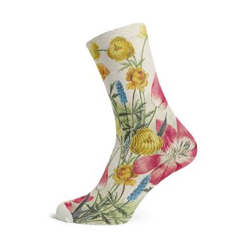 Socks by Van Leen (5 pairs)