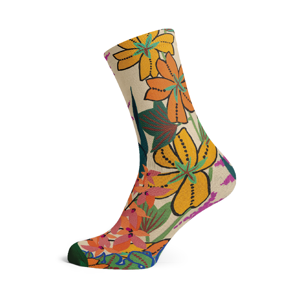 Socks by Atelier Martine (5 pairs)