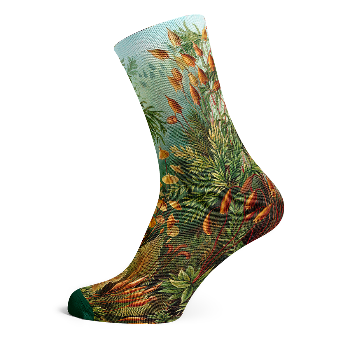 Socks by Haeckel (mushrooms, 5 pairs)