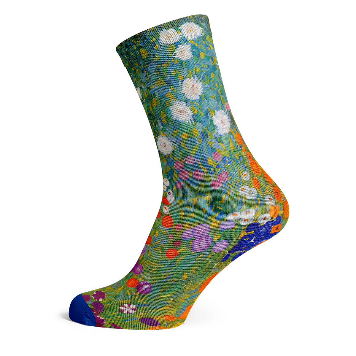 Socks by Klimt  (5 pairs)