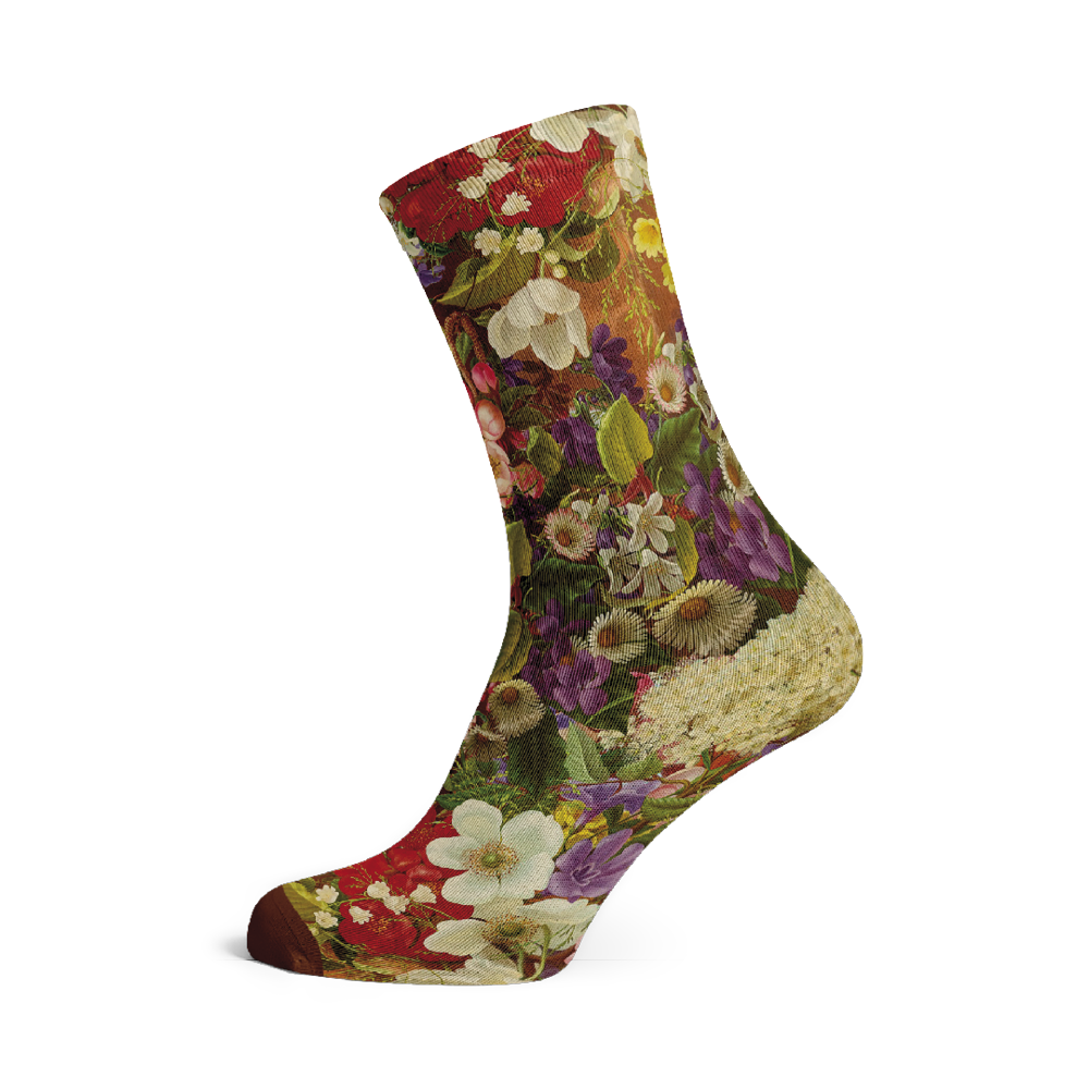 Socks by Dietrich (5 pairs)