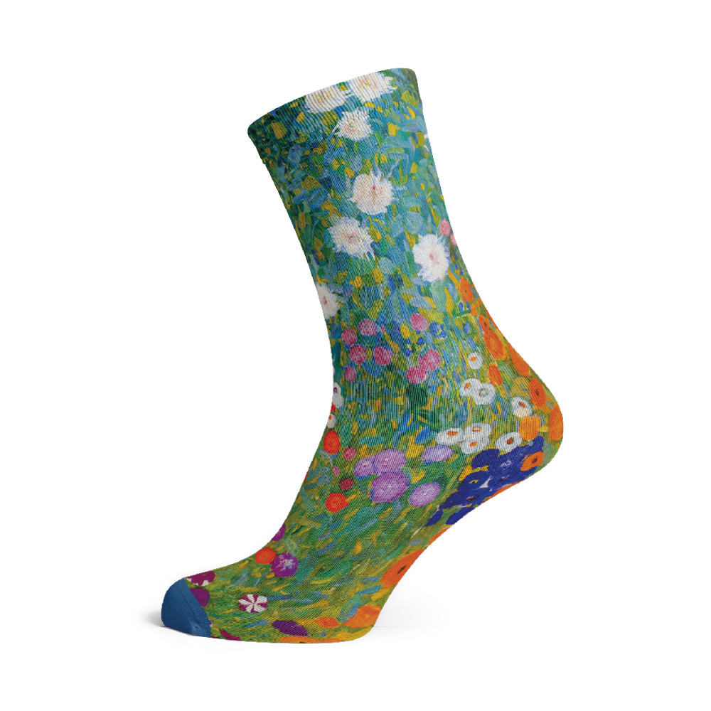 Socks by Klimt  (5 pairs)