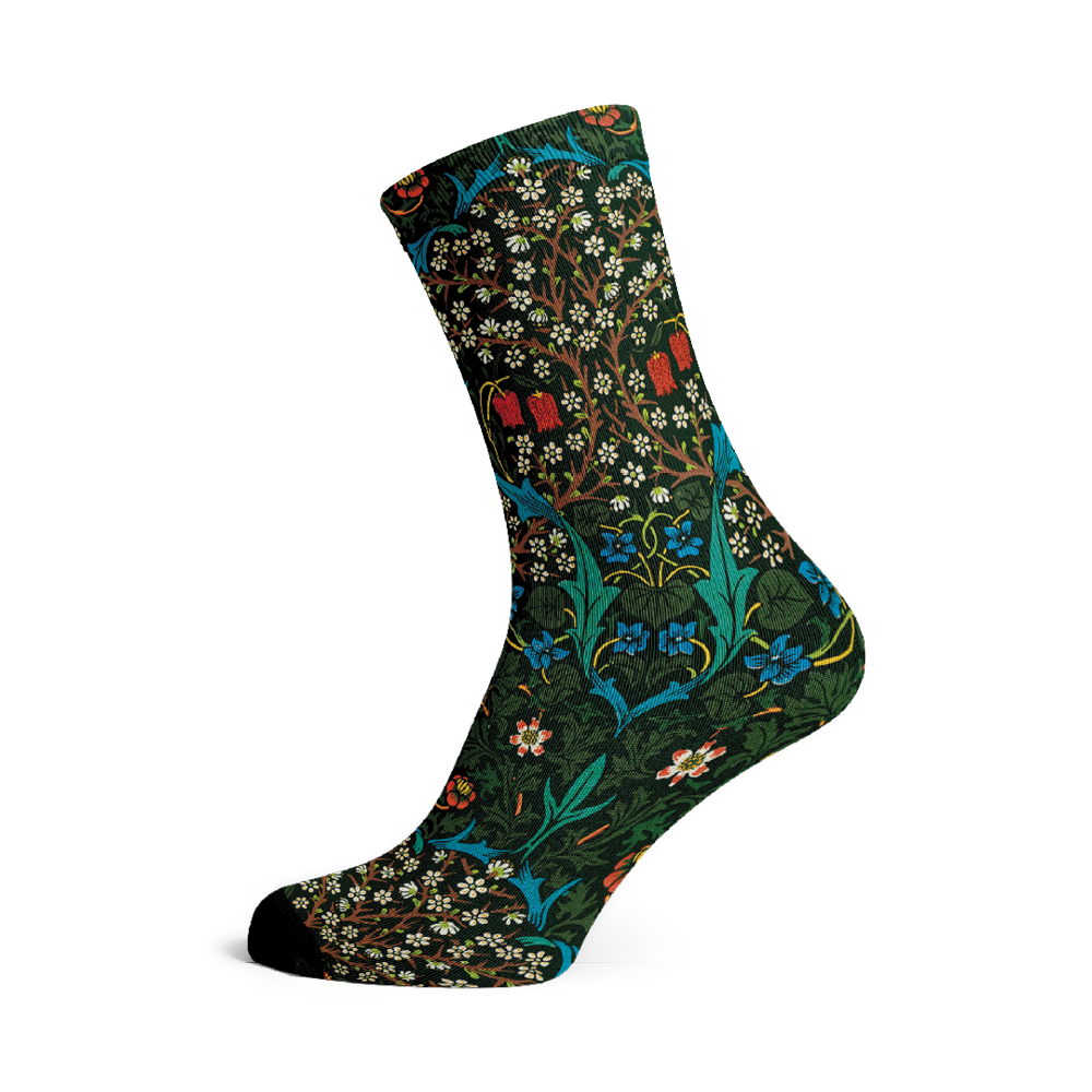 Socks by Morris (5 pairs)