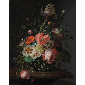 Socks by Ruysch (poppy, 5 pairs)