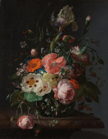 Socks by Ruysch (poppy, 5 pairs)